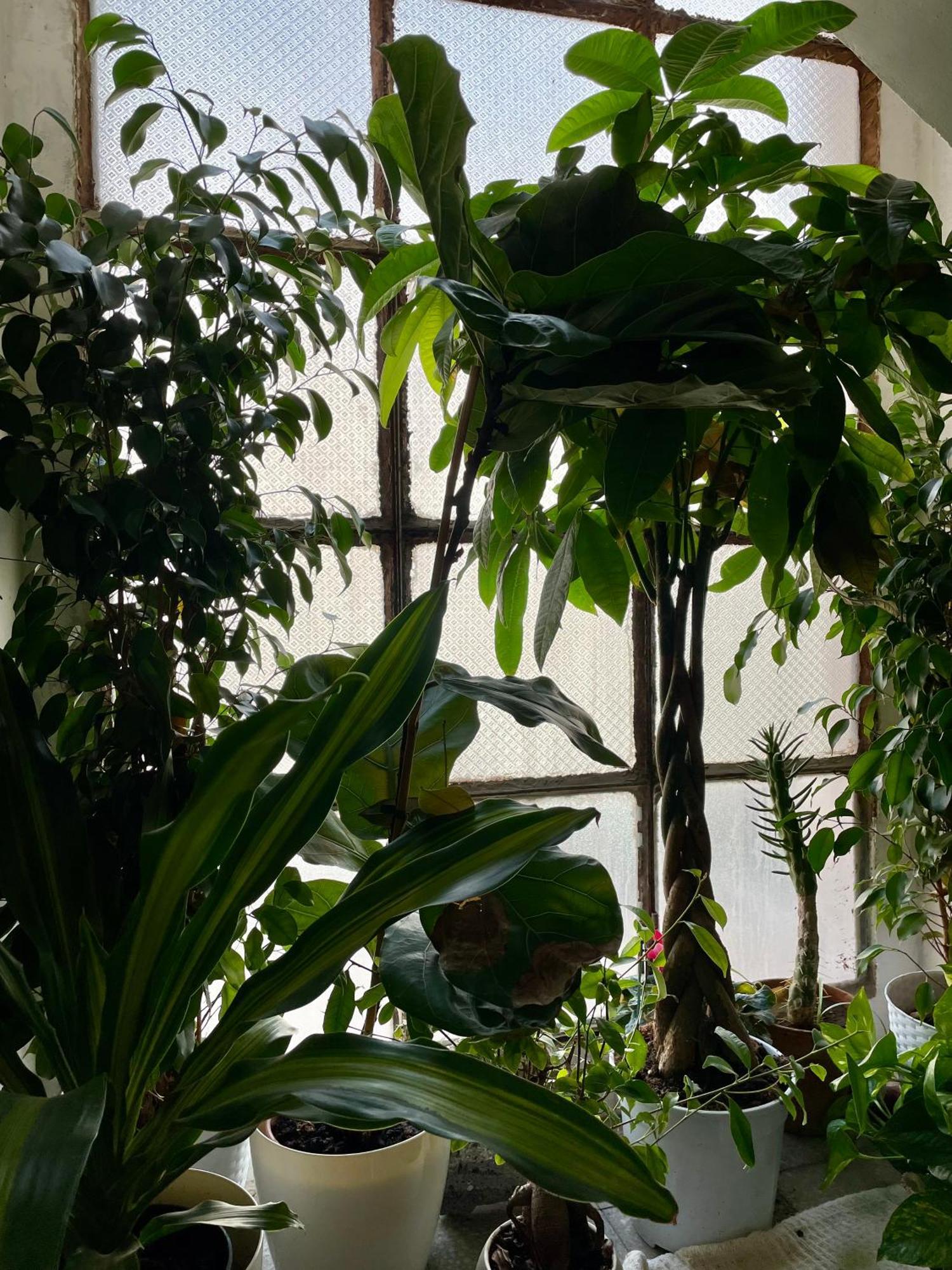 Lorenzo'S House Catania City Centre - Comfortable Large Apartment With 2 Bedrooms And 2 Baths, Close To Trains, Metro And Bus Station Exterior foto